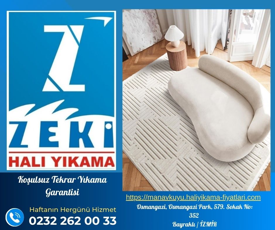 manavkuyu koltuk yıkama